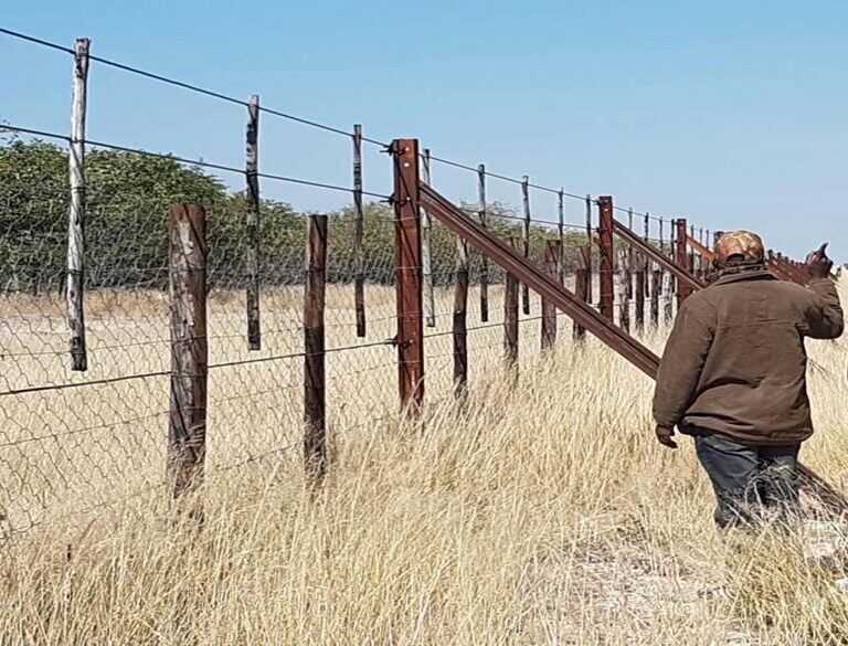 The elephant proof fence at Etosha