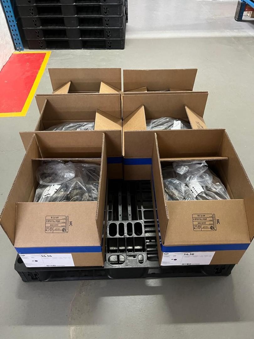 Abalone packed into labelled export cartons on a pallet